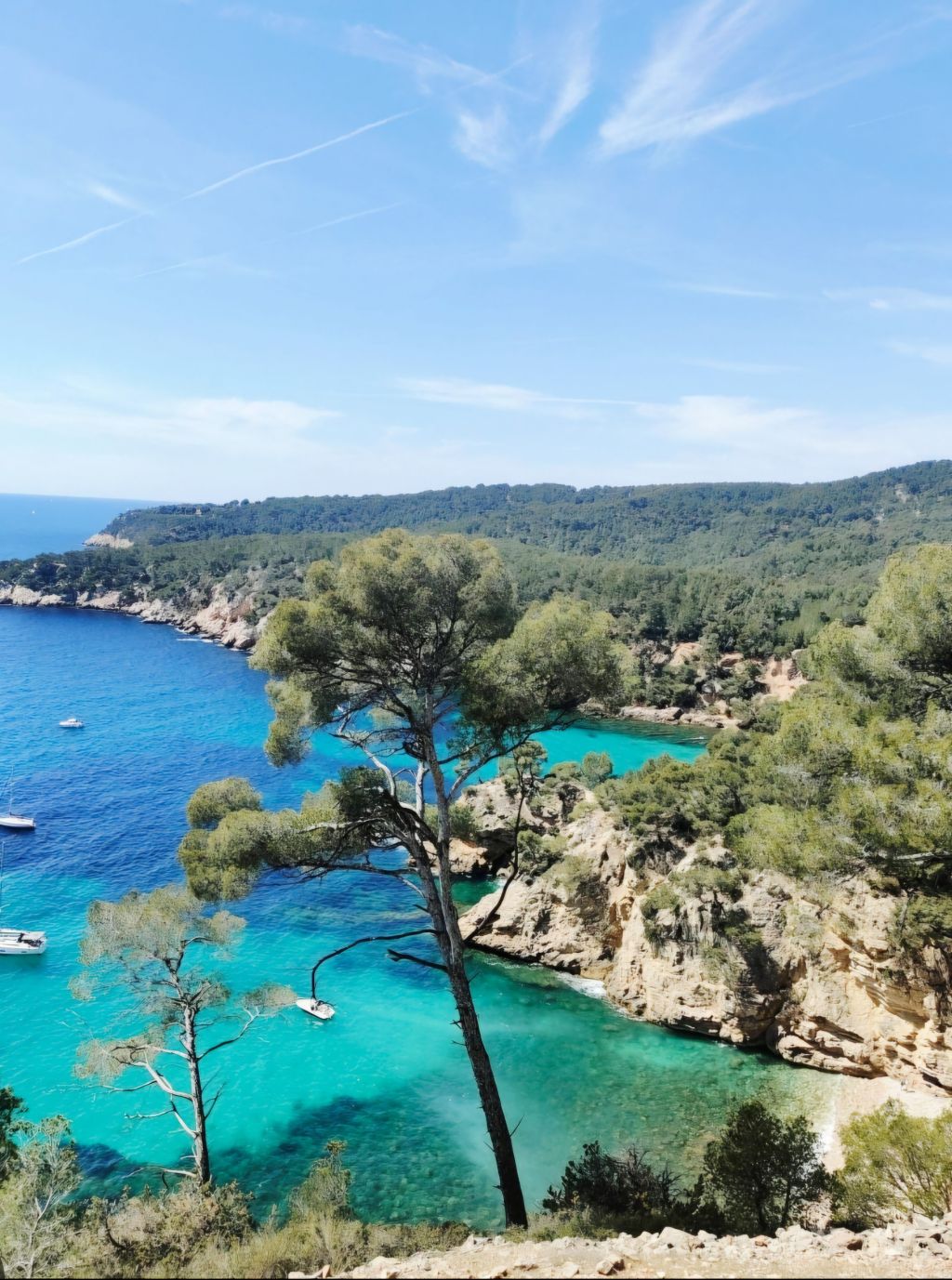 maison de maître 6 pièces en viager sur ST CYR SUR MER (83270)