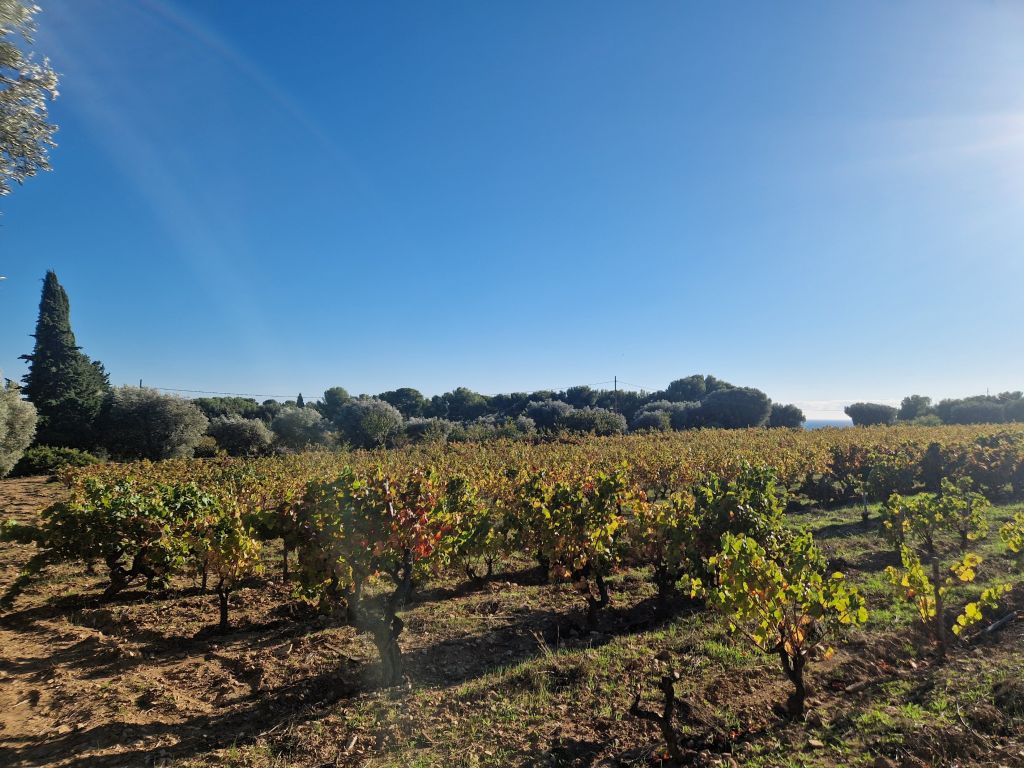propriété viticole 8 pièces en vente sur LA CADIERE D AZUR (83740)