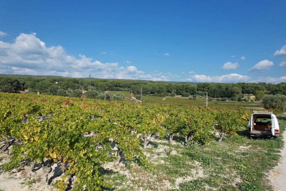 propriété viticole 10 pièces en vente sur LE CASTELLET (83330)