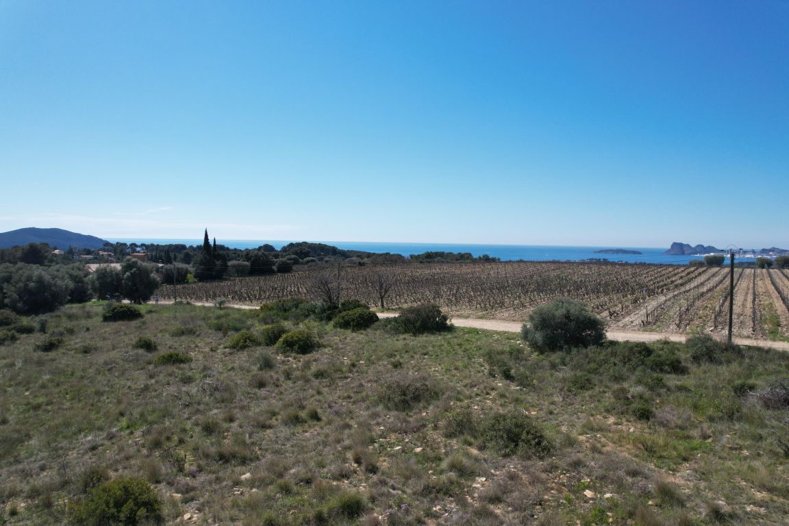 propriété viticole 8 pièces en vente sur LA CADIERE D AZUR (83740)