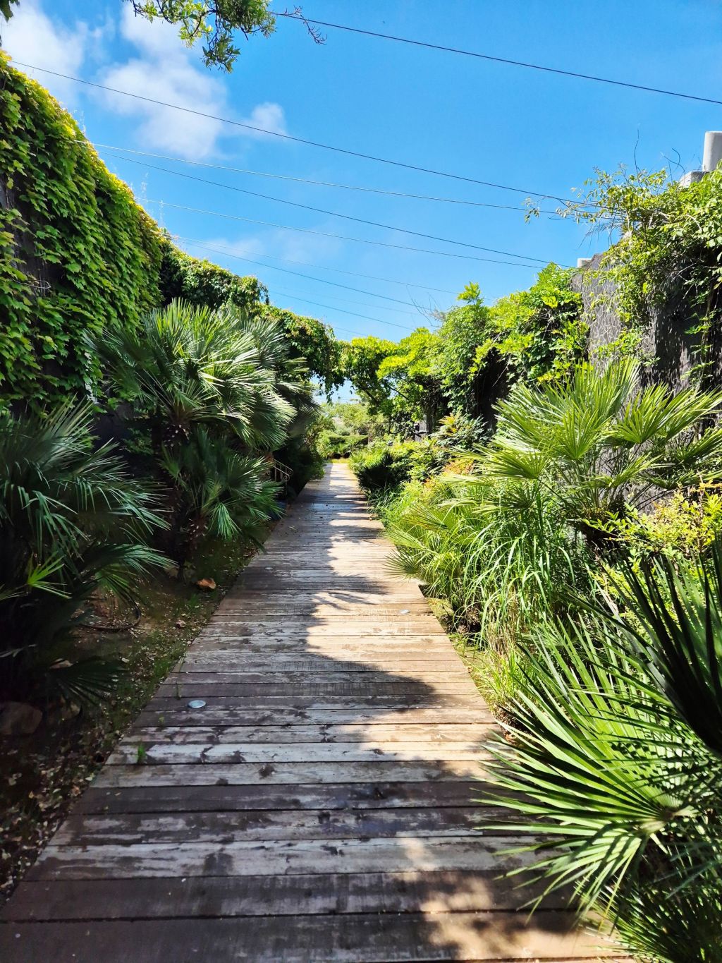 appartement 3 pièces en vente sur BANDOL (83150)